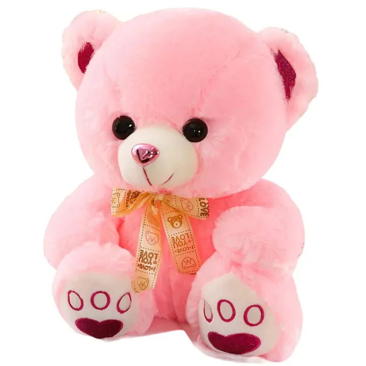 Small Soft Teddy Bear Plush for custom gift box in Karachi